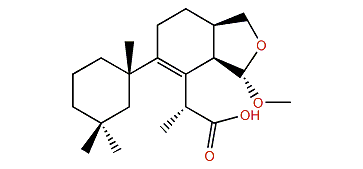 15,16-Epoxy-15-methoxy-8-aplysulphuren-17-oic acid